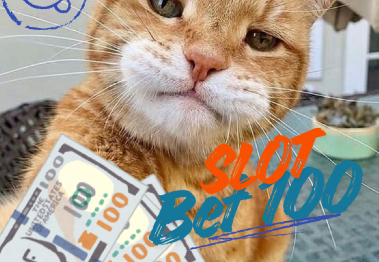 Slot Bet 100 dengan Teknik Main Cepat dan Tetap Efektif